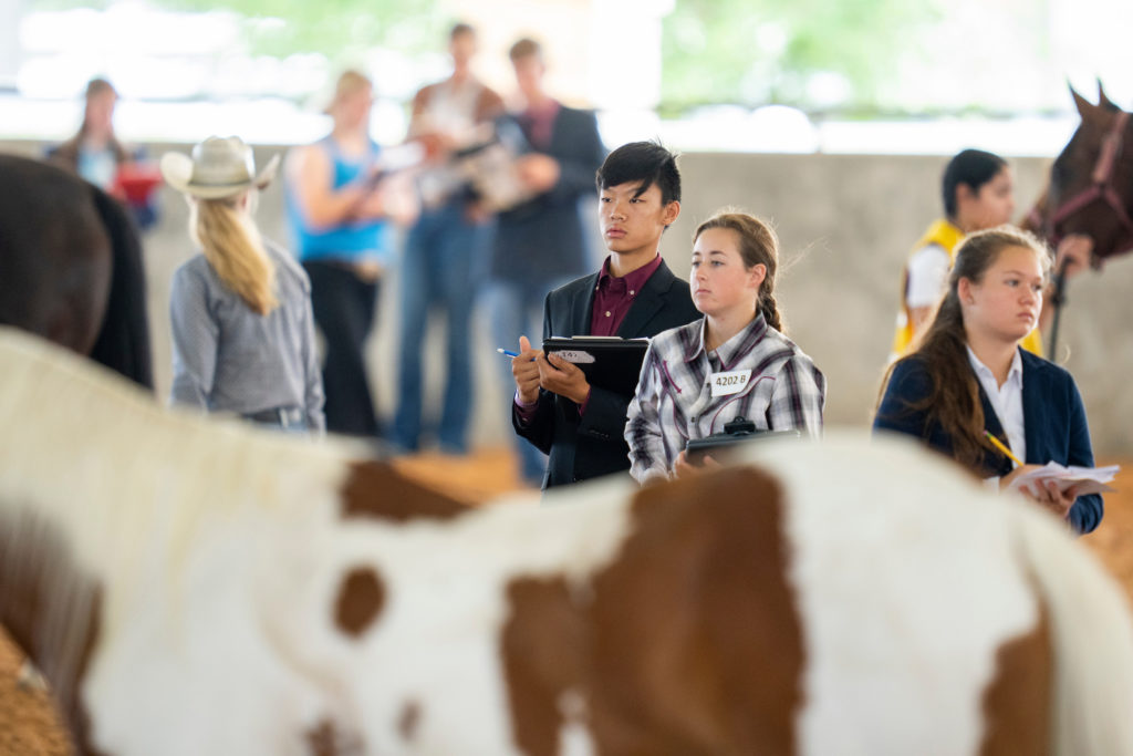 Students at a horse judging contest