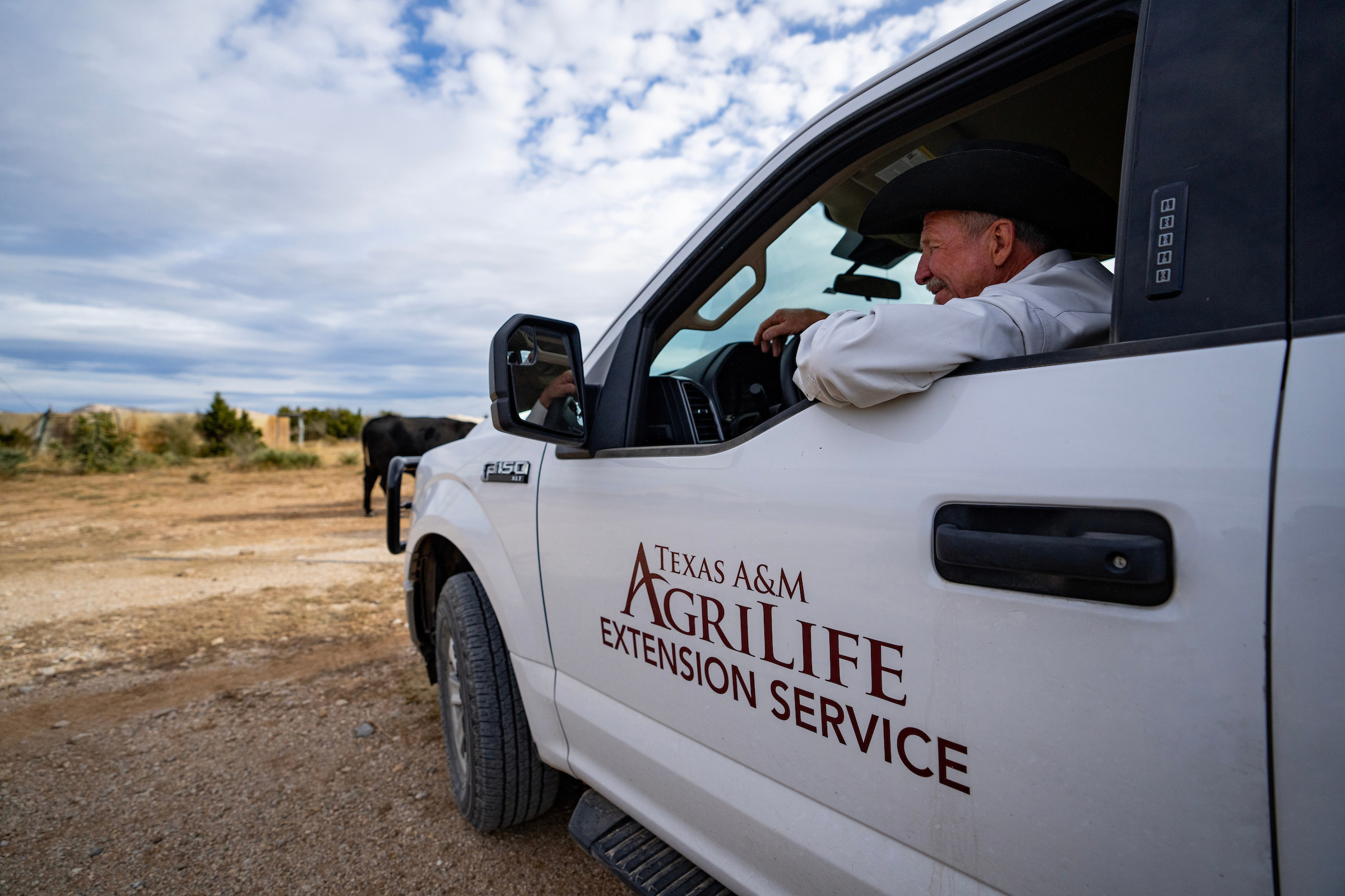 Extension agent in truck, which is labeled with the Texas A&M AgriLife Extension logo