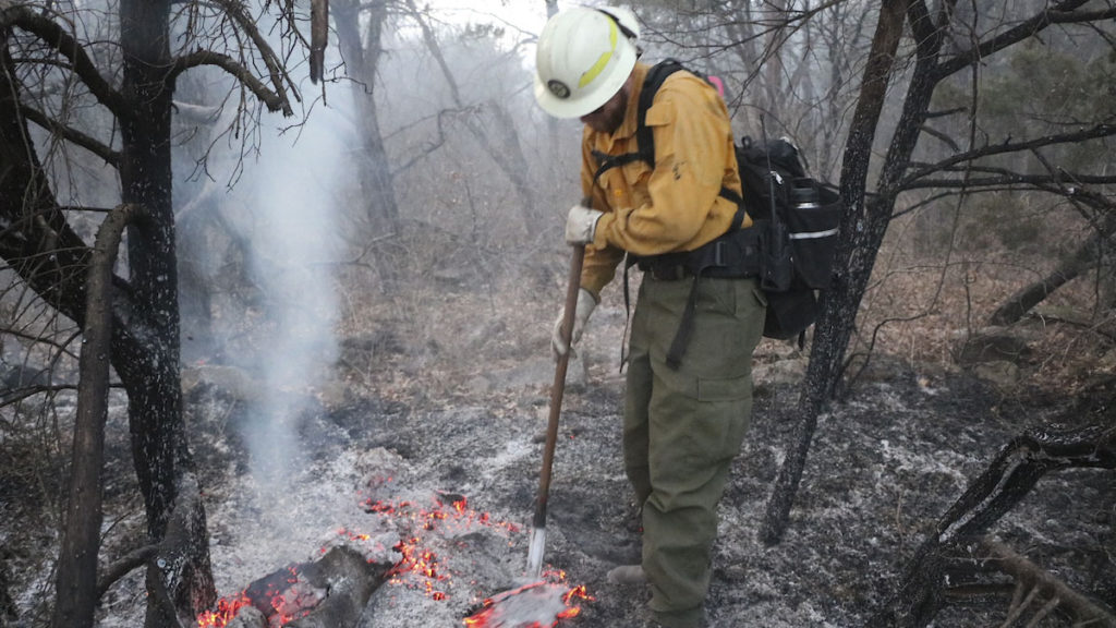 Firefighter conducts mop up in wooded area on Keller Road Fire in Palo Pinto County on January 30, 2022