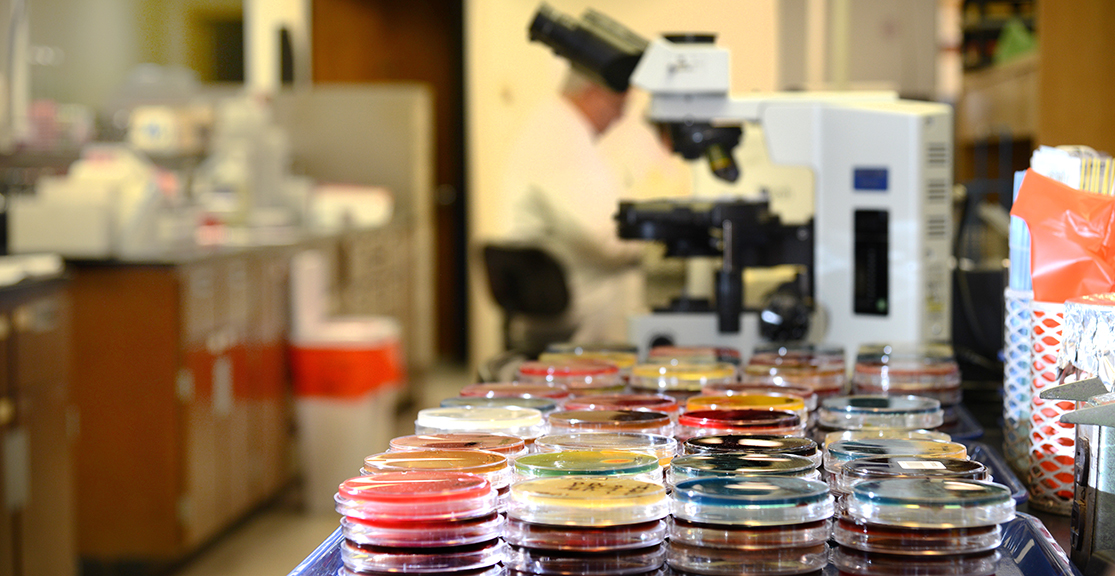 A lab with a microscope and several stacks of samples in front