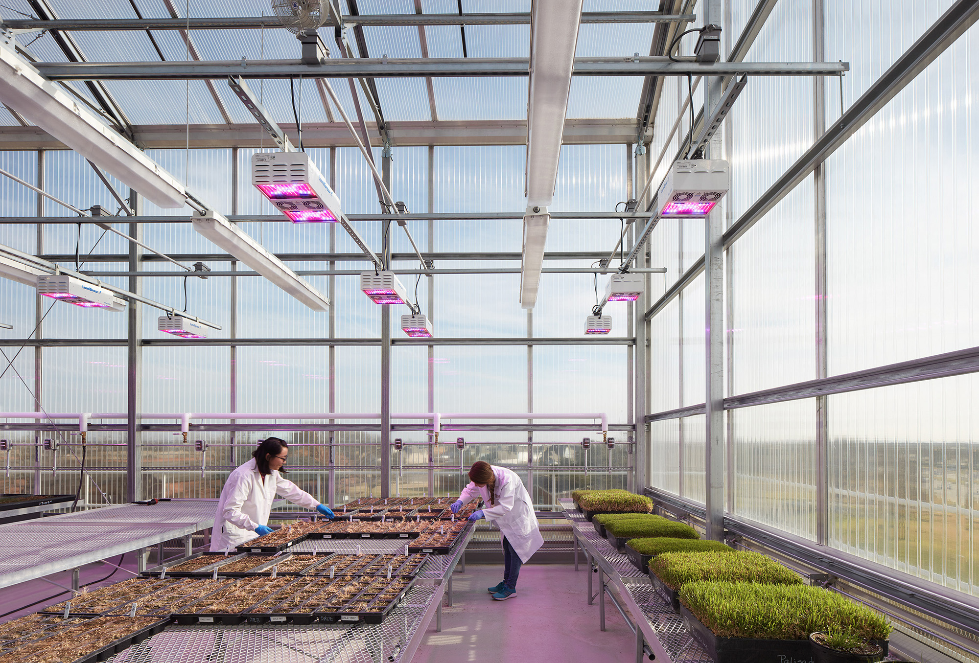 Researchers in rooftop greenhouse