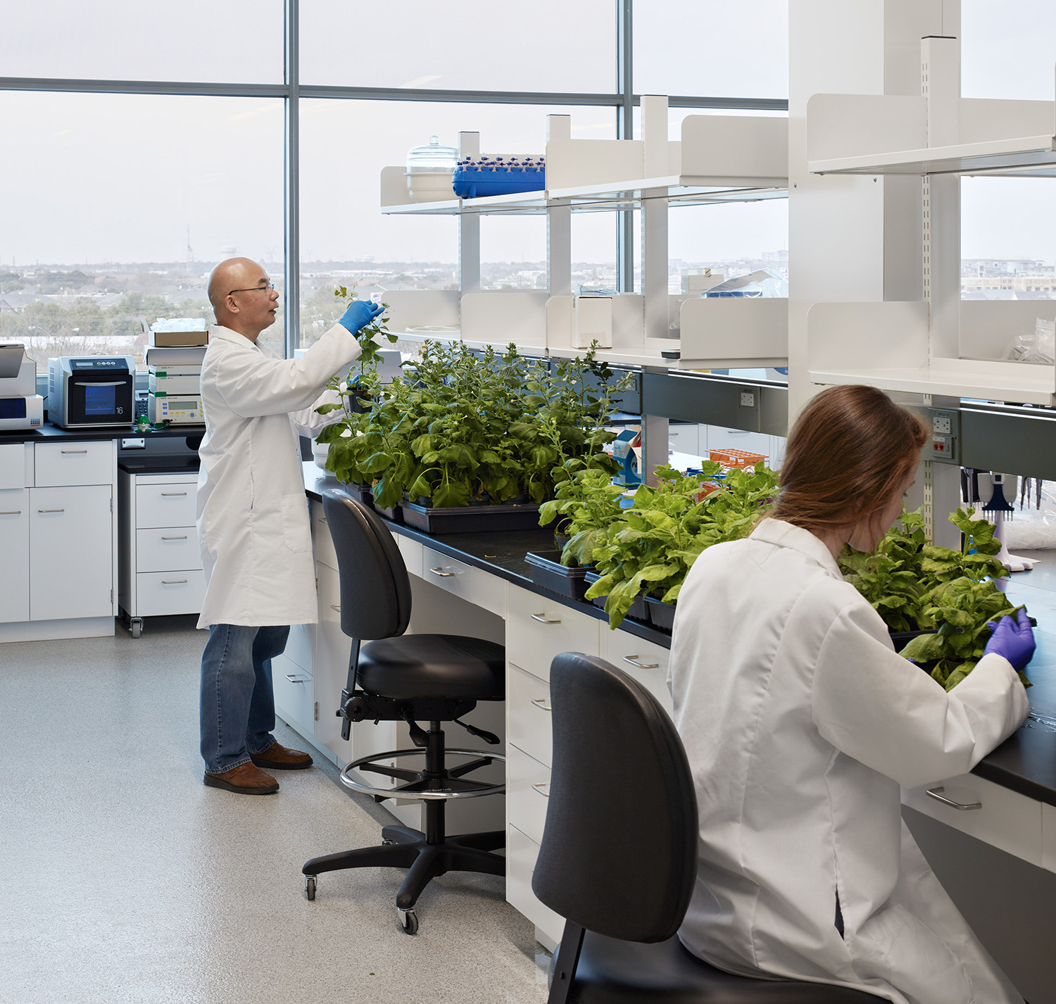 Scientists in lab with plants