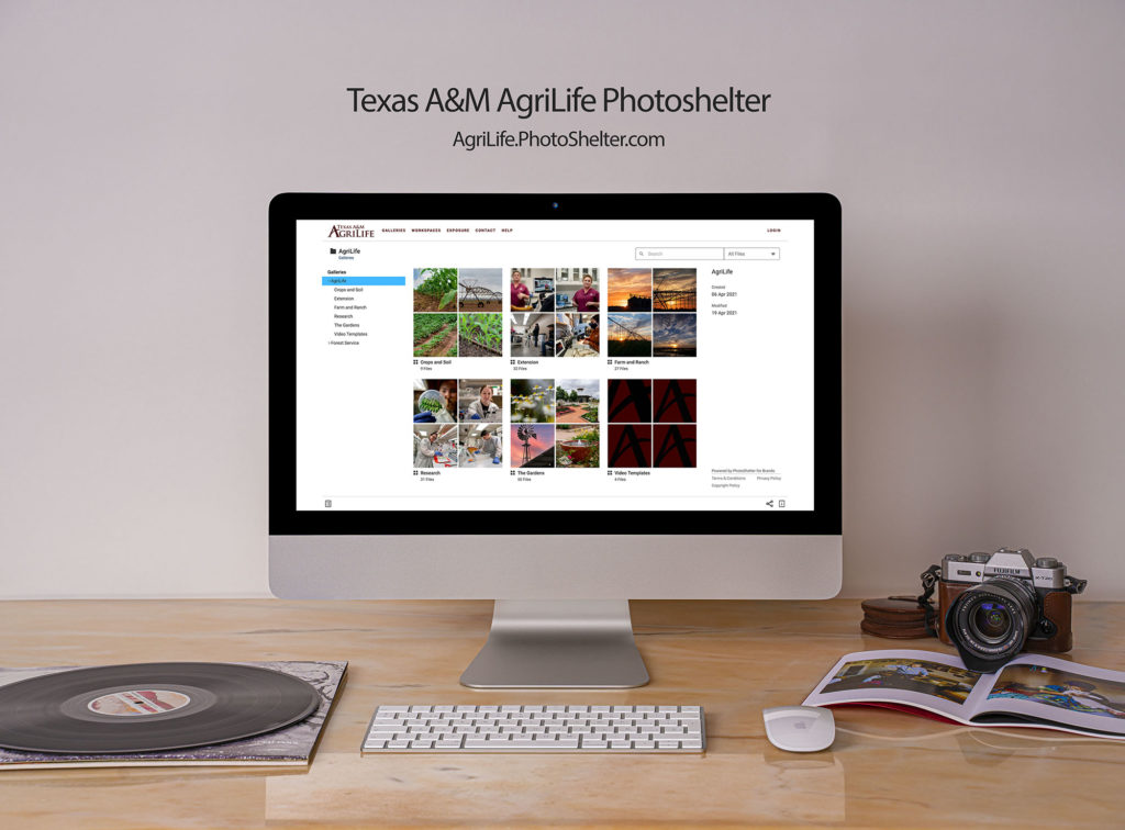 Texas A&M AgriLife Photoshelter Thumb